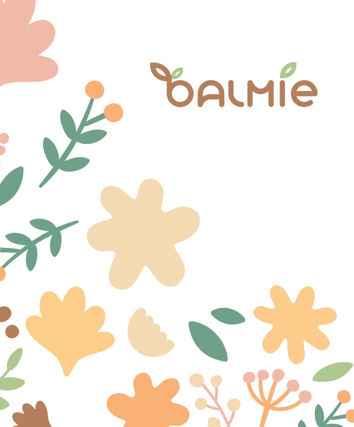 ตัวอย่าง ออกแบบแบรนด์แบบมีกลยุทธ์ CORPORATE IDENTITY & BRANDING CONCEPT DESIGN BALMIE