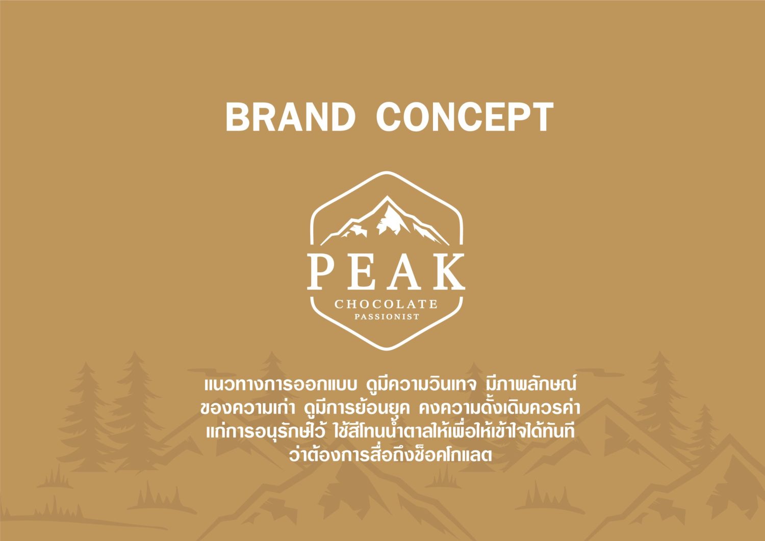 CONCEPT DESIGN PEAK — ภาพผลงาน 6