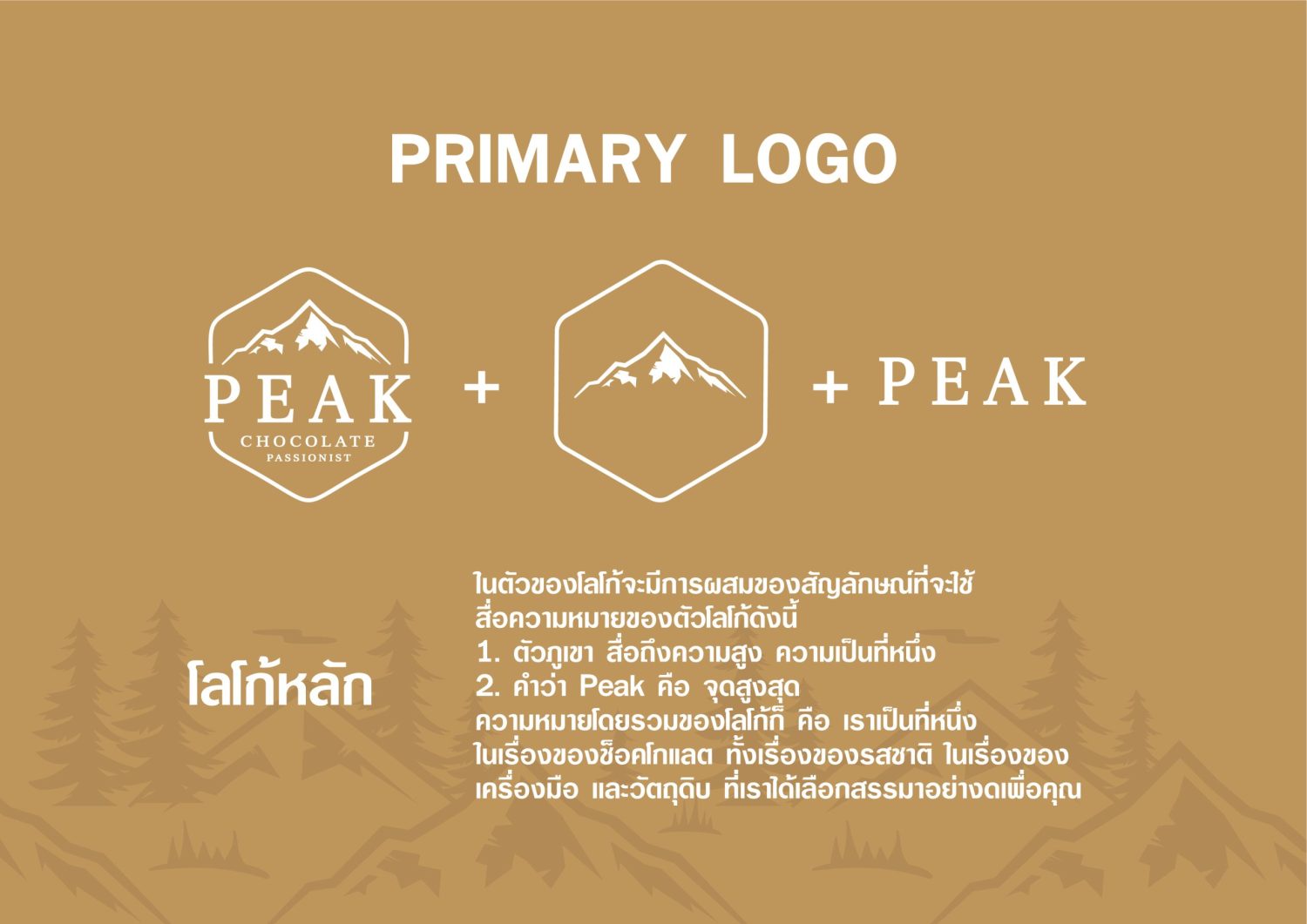 CONCEPT DESIGN PEAK — ภาพผลงาน 7