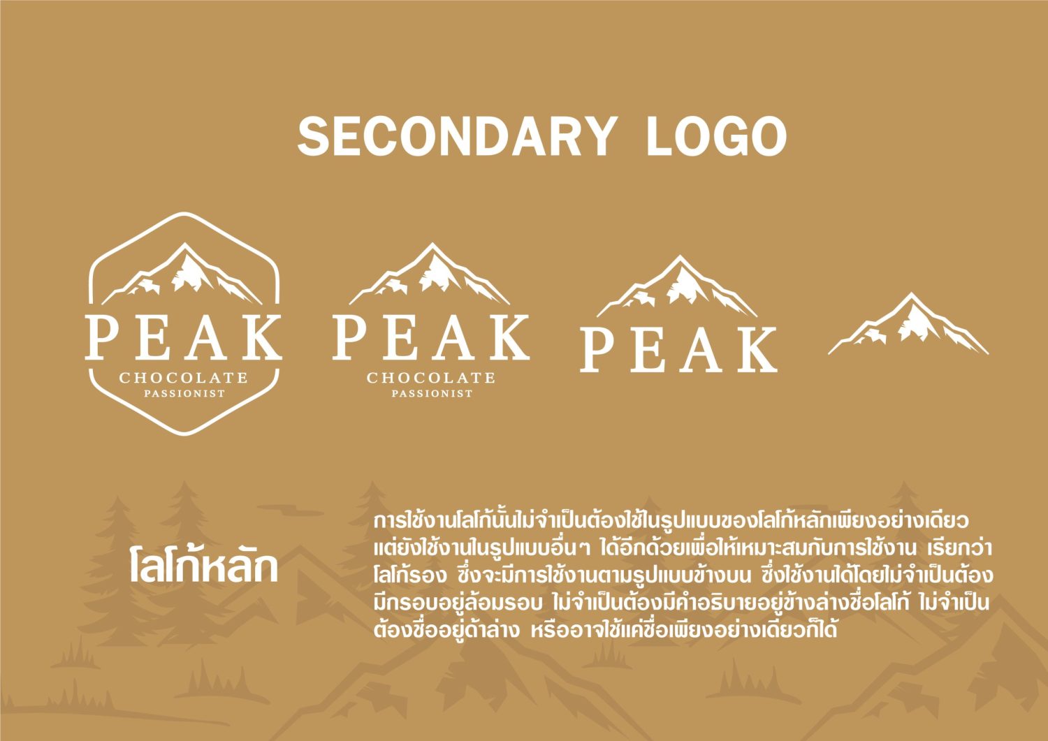 CONCEPT DESIGN PEAK — ภาพผลงาน 8