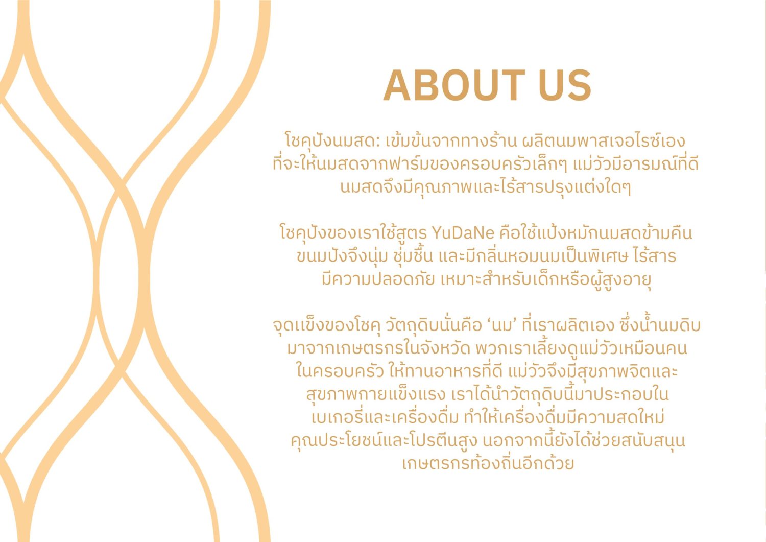ตัวอย่าง ออกแบบแบรนด์แบบมีกลยุทธ์ CORPORATE IDENTITY & BRANDING CONCEPT DESIGN SUKI DESU — ภาพผลงาน 3