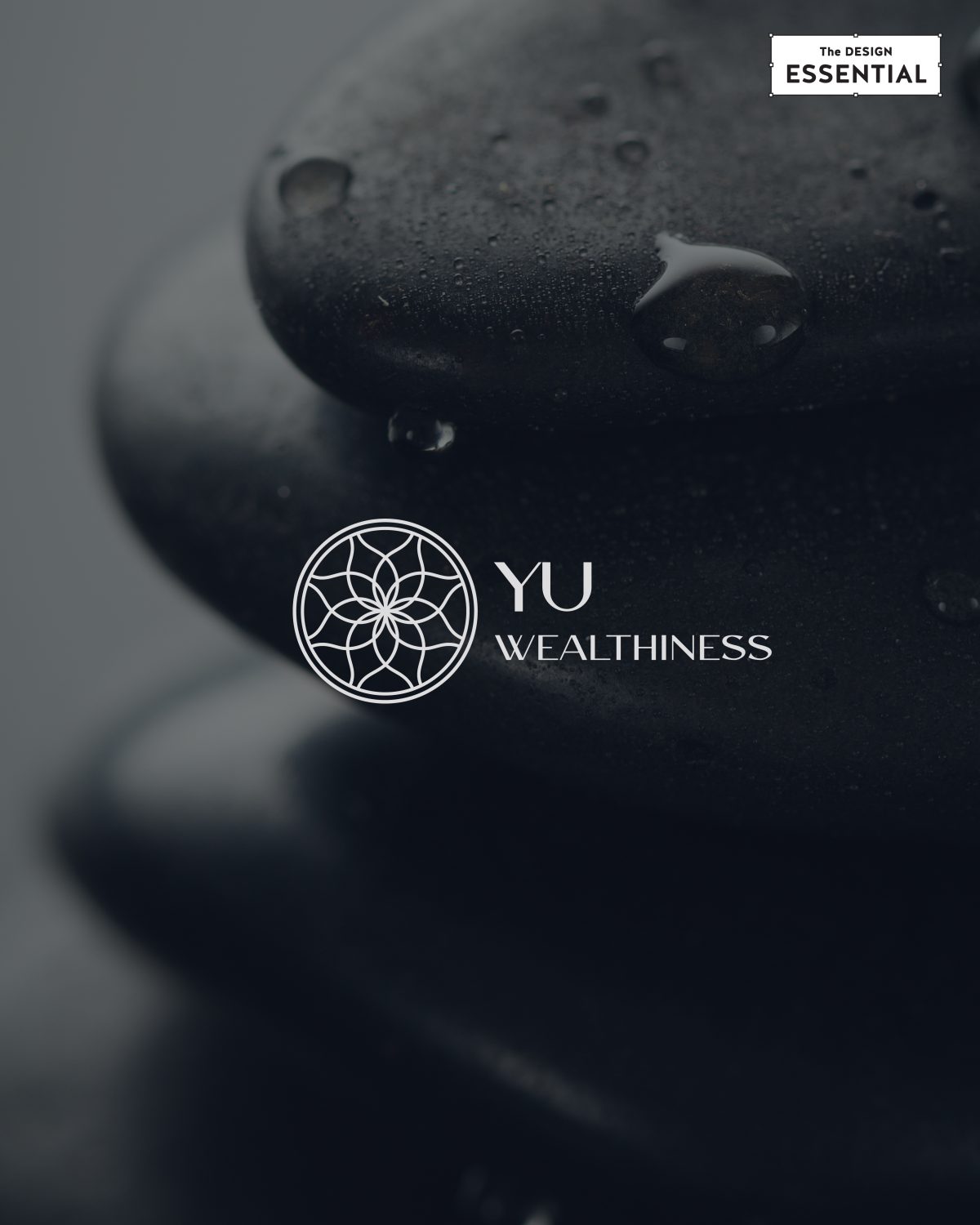 YU WEALTHNESS