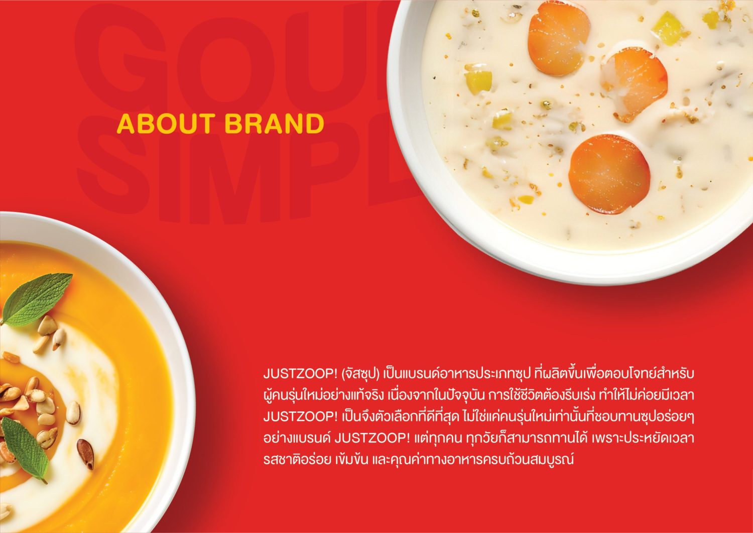 ตัวอย่าง ออกแบบแบรนด์แบบมีกลยุทธ์ CORPORATE IDENTITY & BRANDING CONCEPT DESIGN JUSTZOOP — ภาพผลงาน 3