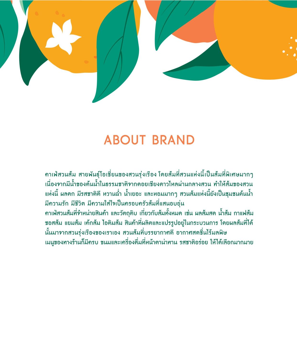 CONCEPT DESIGN ALLRANGE — ภาพผลงาน 3