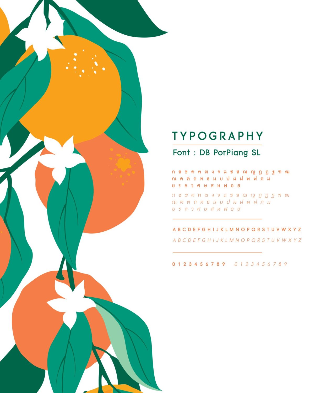 CONCEPT DESIGN ALLRANGE — ภาพผลงาน 13