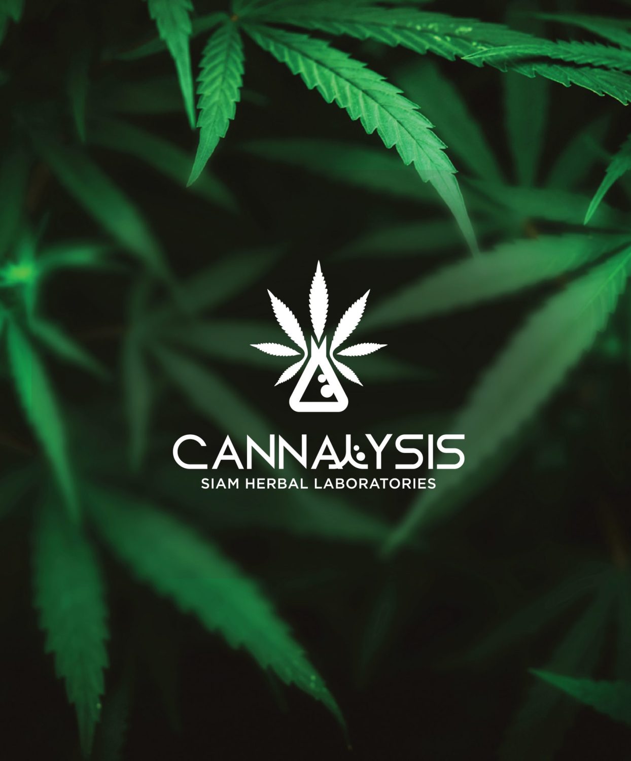 CONCEPT DESIGN CANNALYSIS