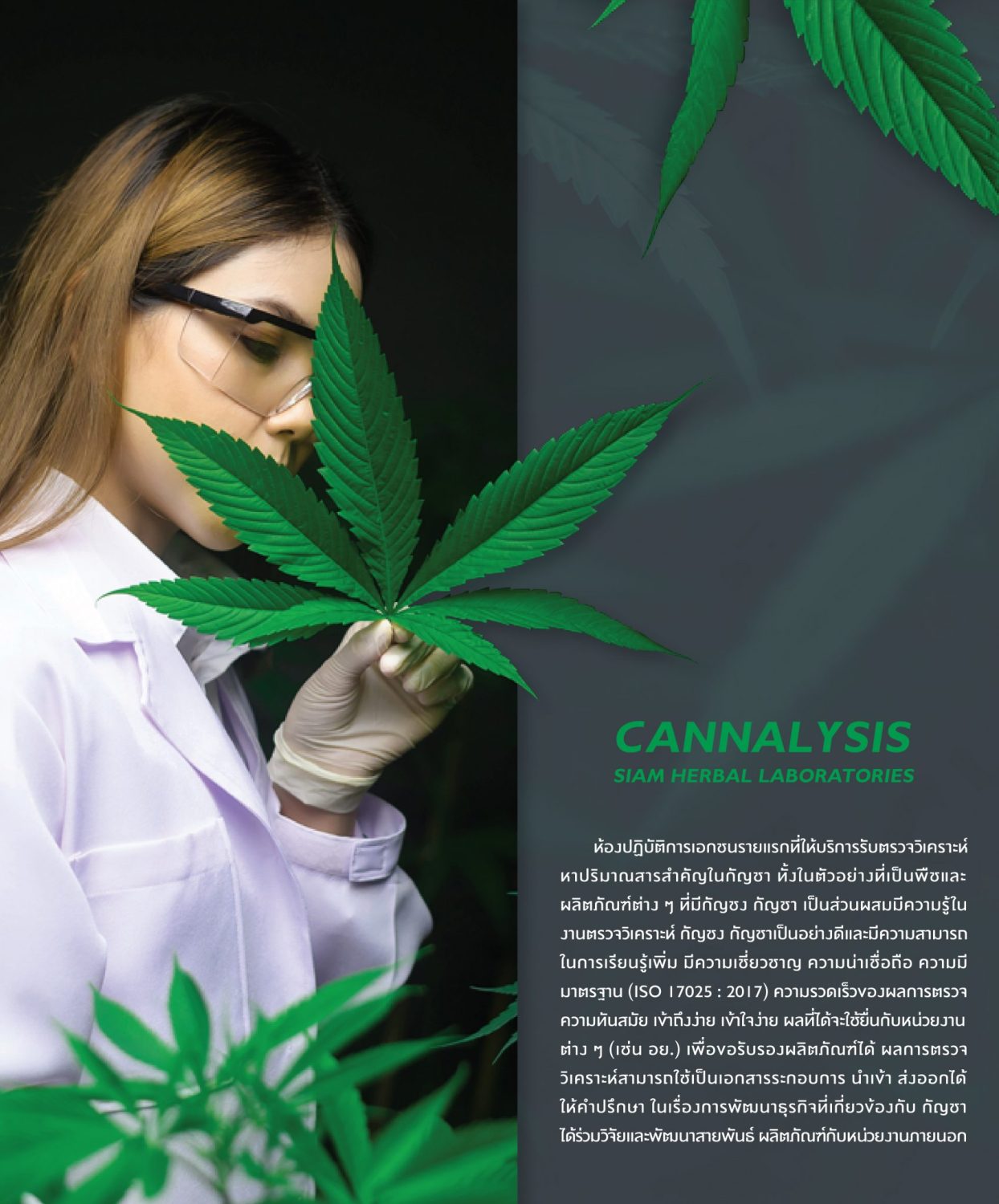 CONCEPT DESIGN CANNALYSIS — ภาพผลงาน 3