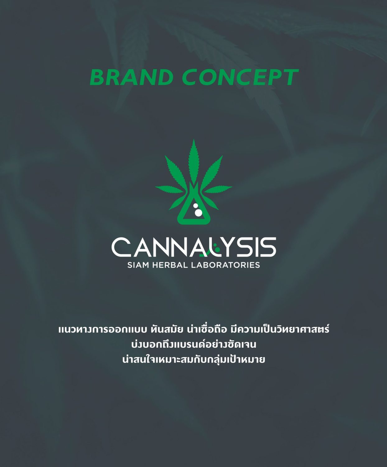 CONCEPT DESIGN CANNALYSIS — ภาพผลงาน 6