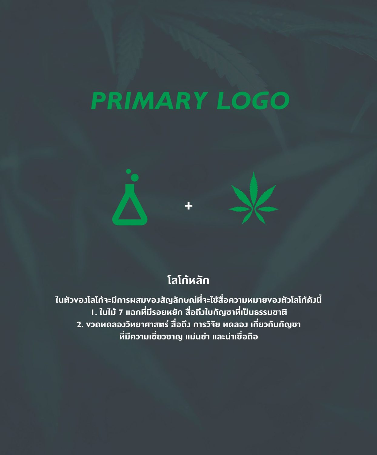 CONCEPT DESIGN CANNALYSIS — ภาพผลงาน 7
