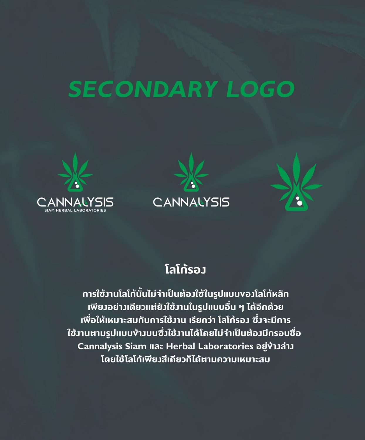CONCEPT DESIGN CANNALYSIS — ภาพผลงาน 8