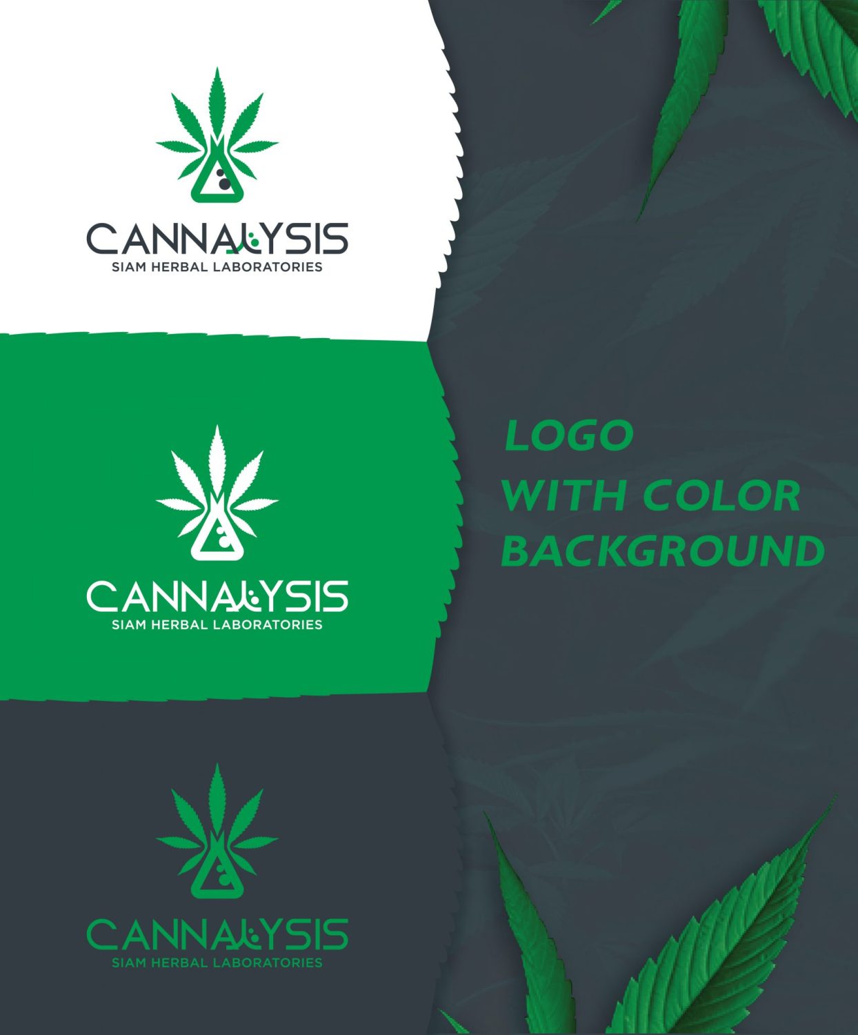 CONCEPT DESIGN CANNALYSIS — ภาพผลงาน 9