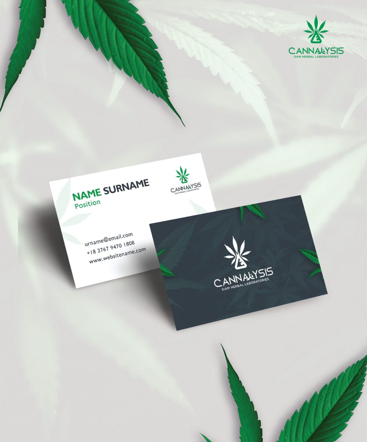 CONCEPT DESIGN CANNALYSIS — ภาพผลงาน 19