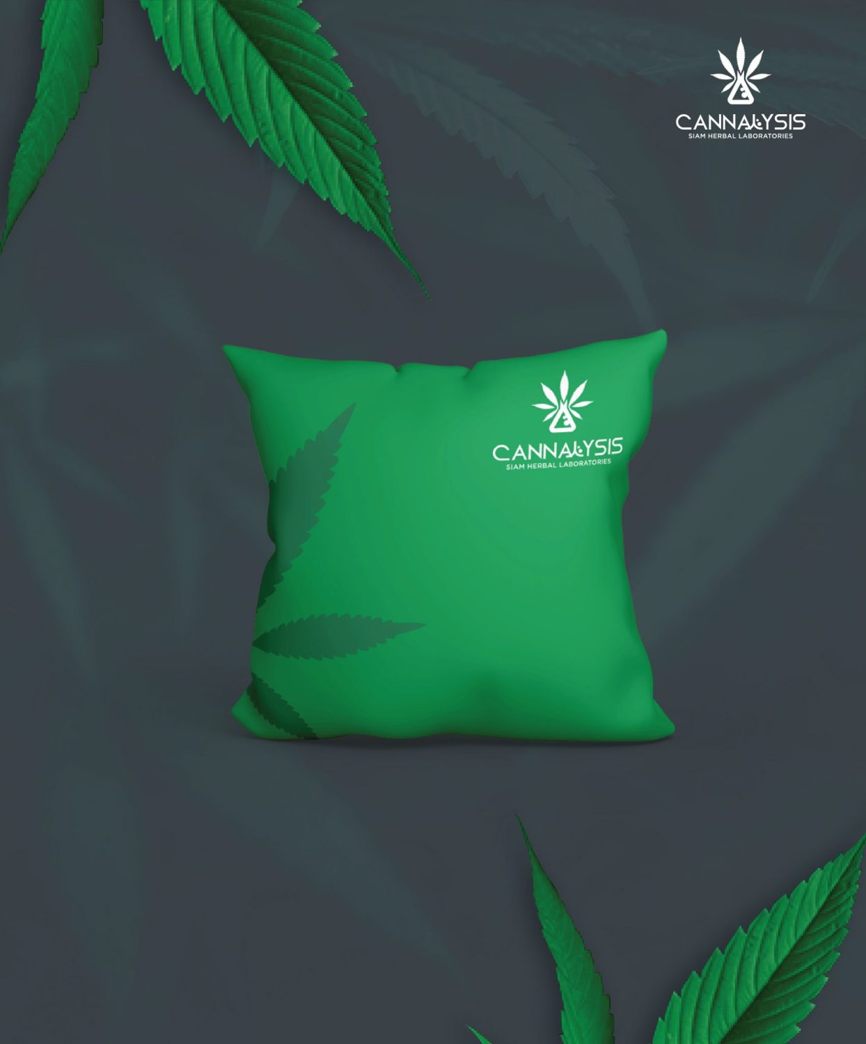 CONCEPT DESIGN CANNALYSIS — ภาพผลงาน 20