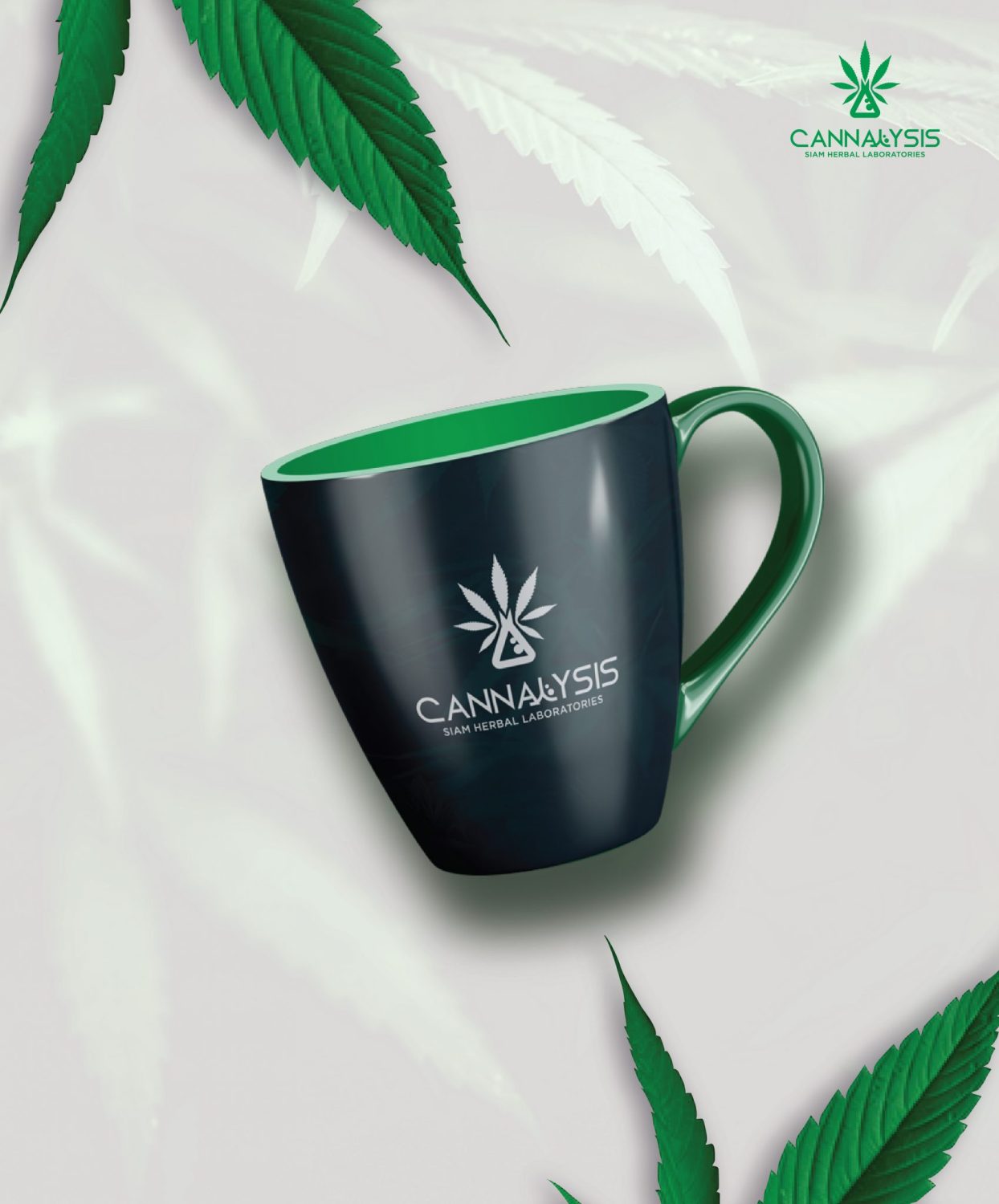 CONCEPT DESIGN CANNALYSIS — ภาพผลงาน 21