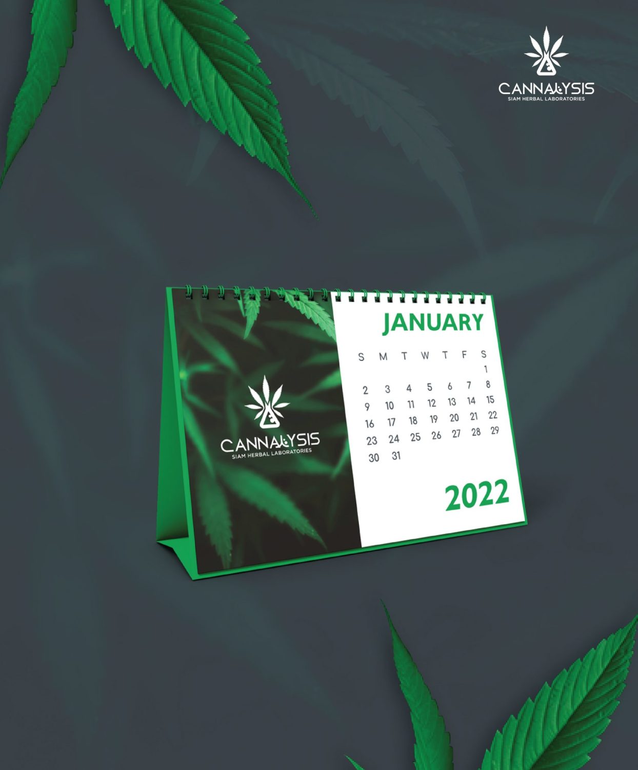 CONCEPT DESIGN CANNALYSIS — ภาพผลงาน 22