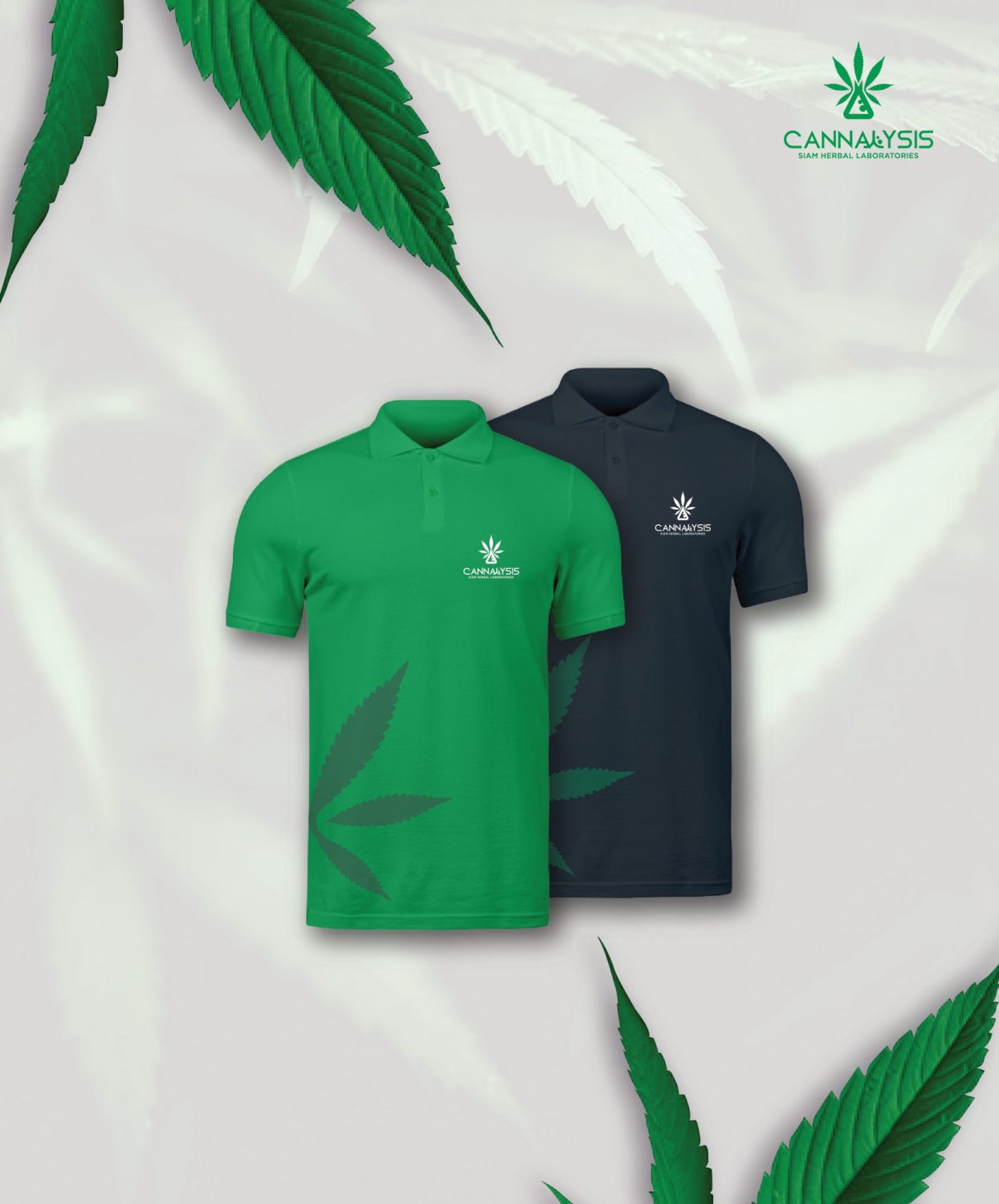CONCEPT DESIGN CANNALYSIS — ภาพผลงาน 23