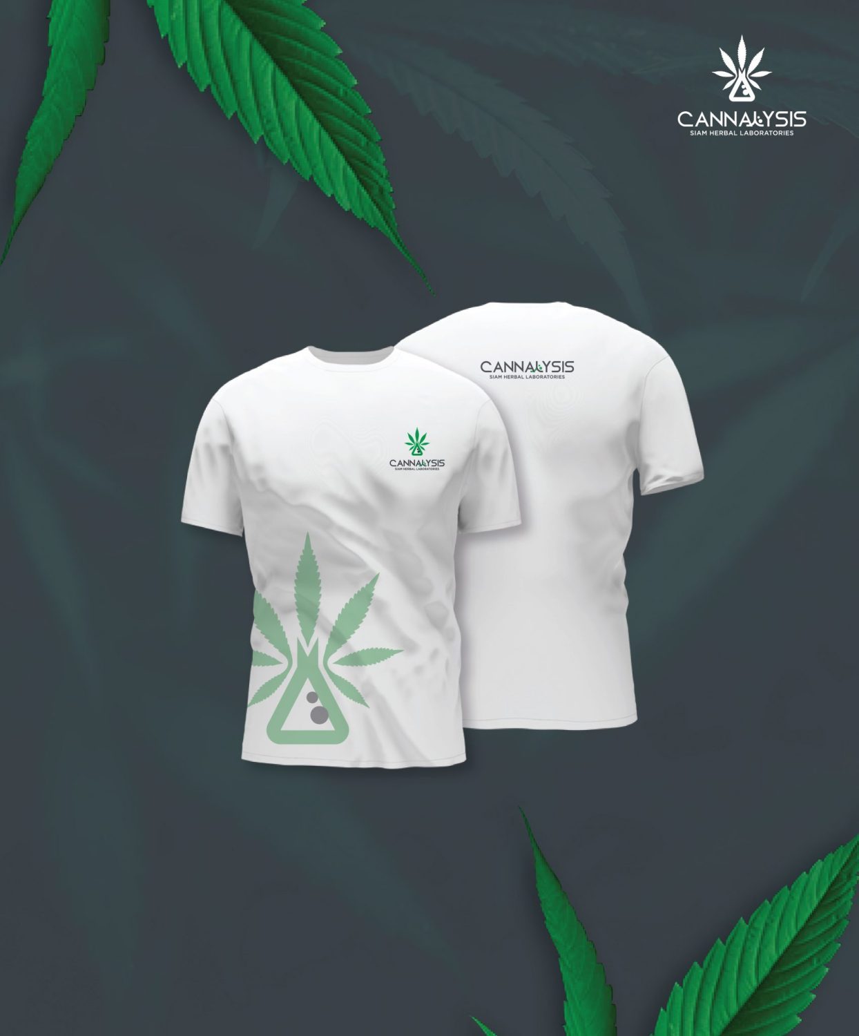 CONCEPT DESIGN CANNALYSIS — ภาพผลงาน 24