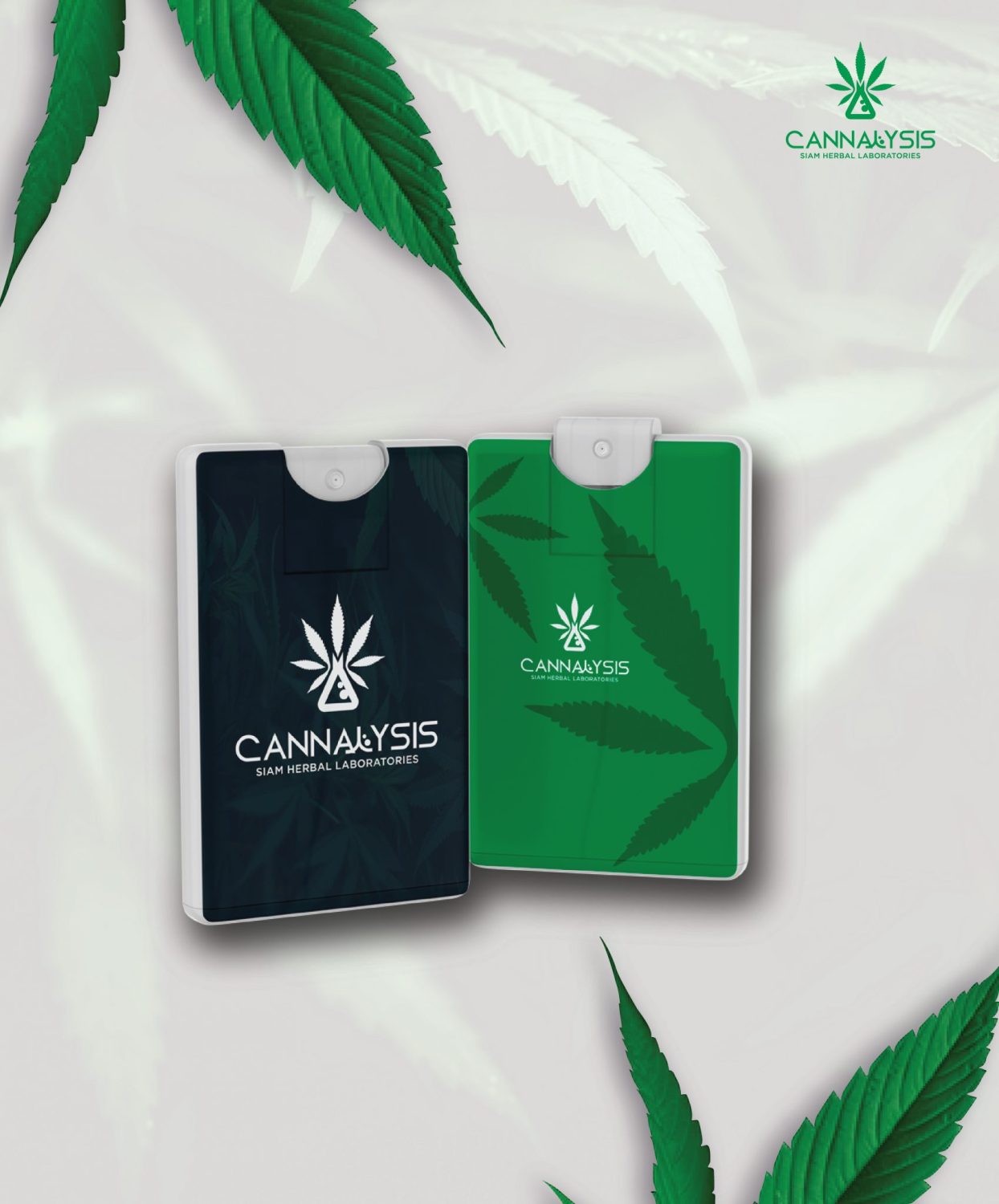 CONCEPT DESIGN CANNALYSIS — ภาพผลงาน 25