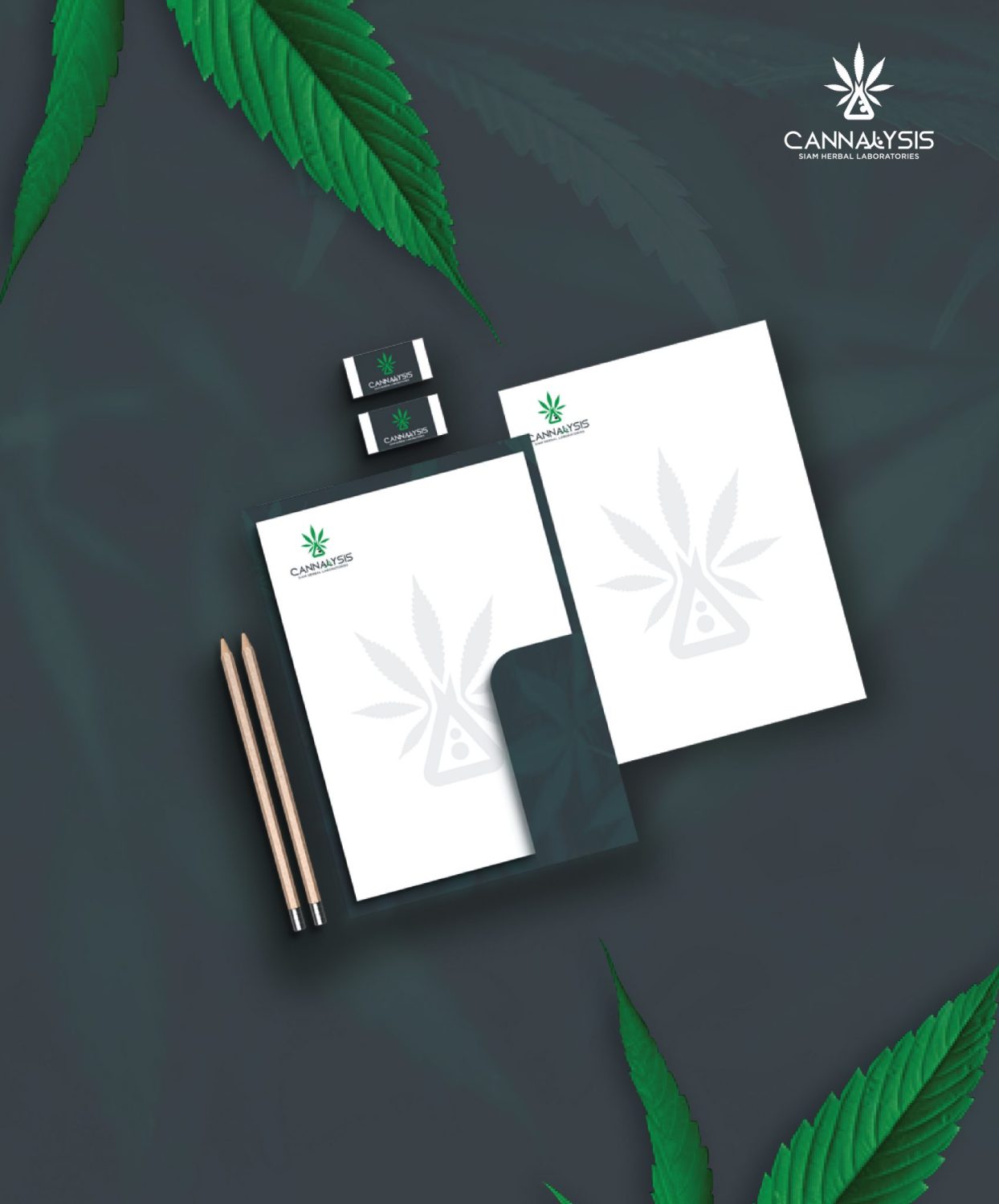 CONCEPT DESIGN CANNALYSIS — ภาพผลงาน 26
