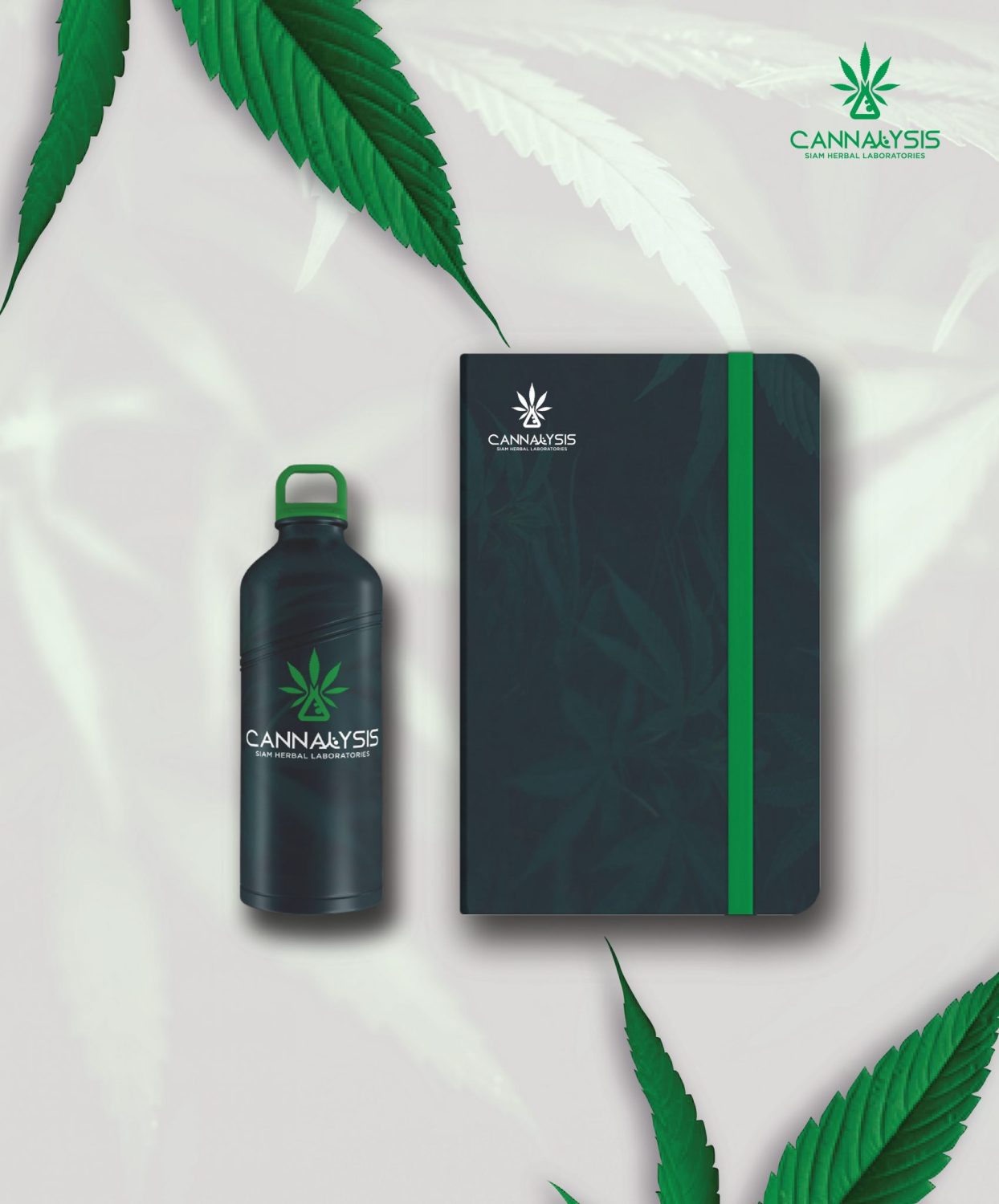 CONCEPT DESIGN CANNALYSIS — ภาพผลงาน 27