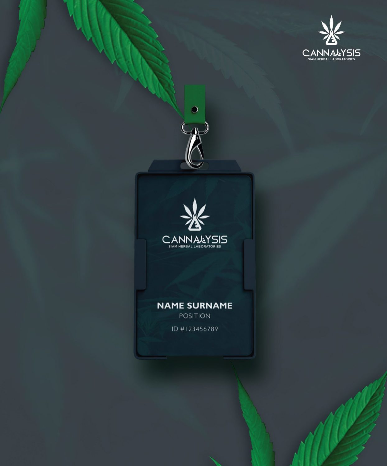 CONCEPT DESIGN CANNALYSIS — ภาพผลงาน 28