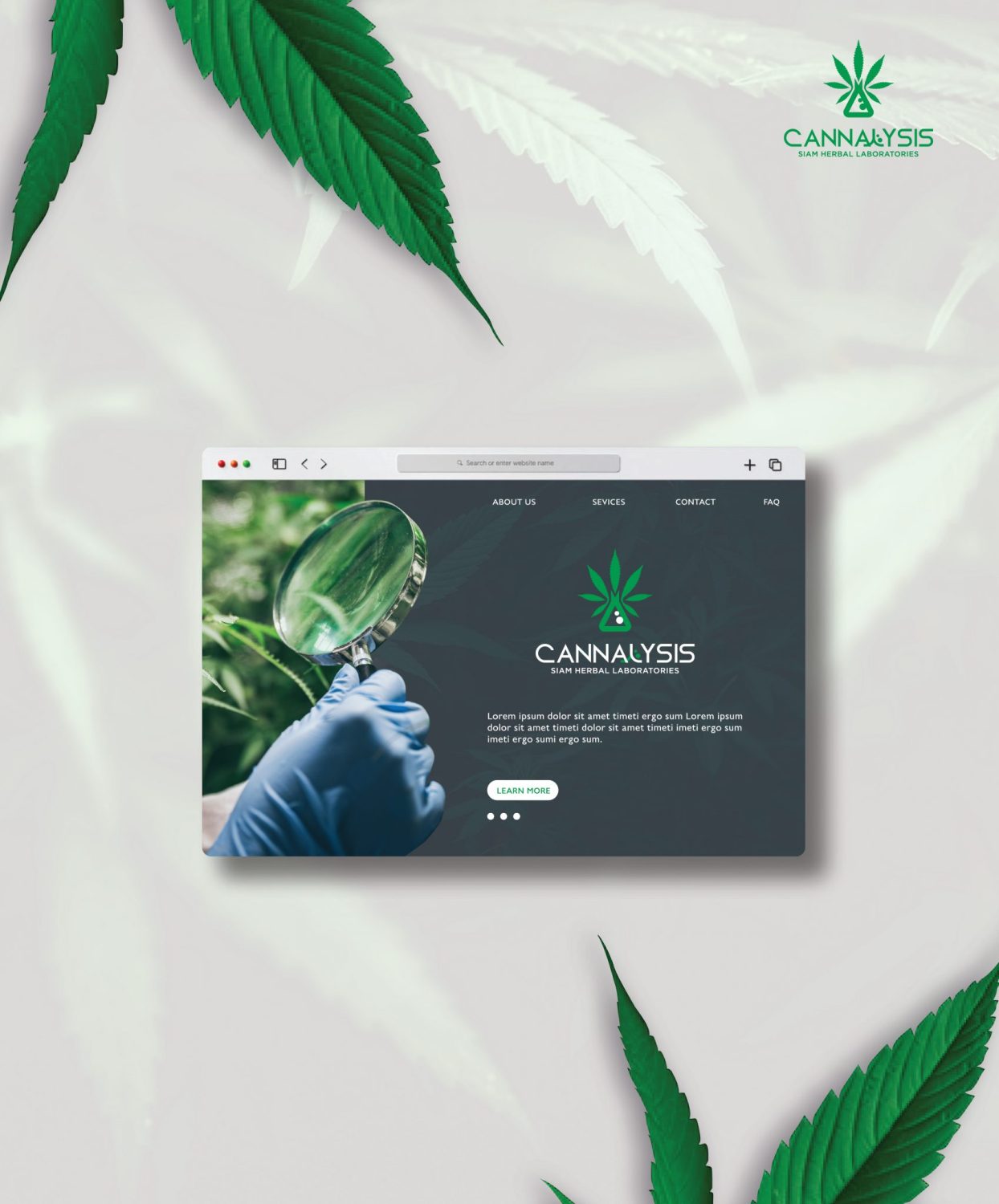CONCEPT DESIGN CANNALYSIS — ภาพผลงาน 29