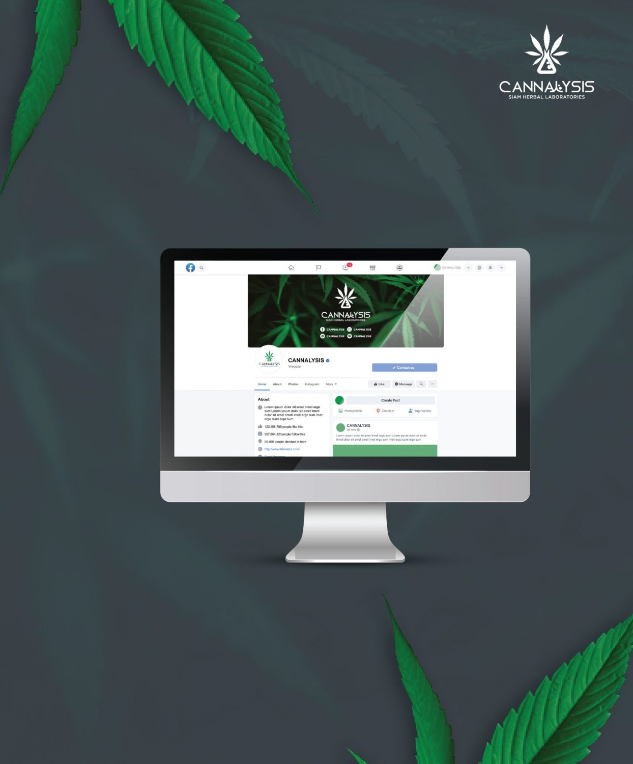 CONCEPT DESIGN CANNALYSIS — ภาพผลงาน 30