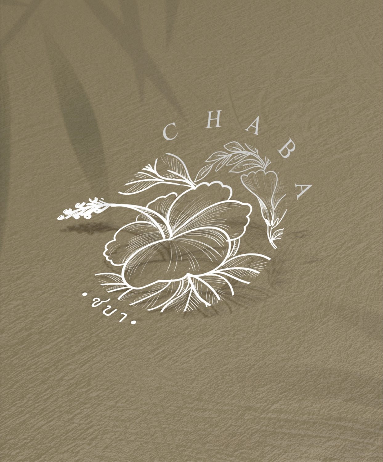 ตัวอย่าง ออกแบบแบรนด์แบบมีกลยุทธ์ CORPORATE IDENTITY & BRANDING CONCEPT DESIGN CHABA — project image 1