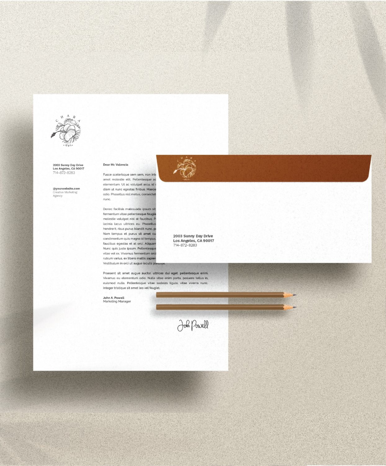 ตัวอย่าง ออกแบบแบรนด์แบบมีกลยุทธ์ CORPORATE IDENTITY & BRANDING CONCEPT DESIGN CHABA — project image 22