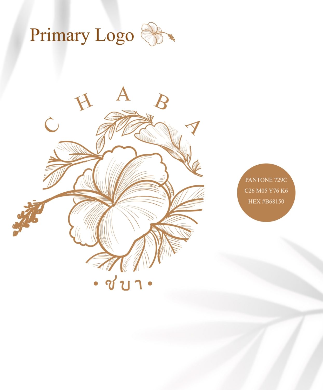 ตัวอย่าง ออกแบบแบรนด์แบบมีกลยุทธ์ CORPORATE IDENTITY & BRANDING CONCEPT DESIGN CHABA — project image 7