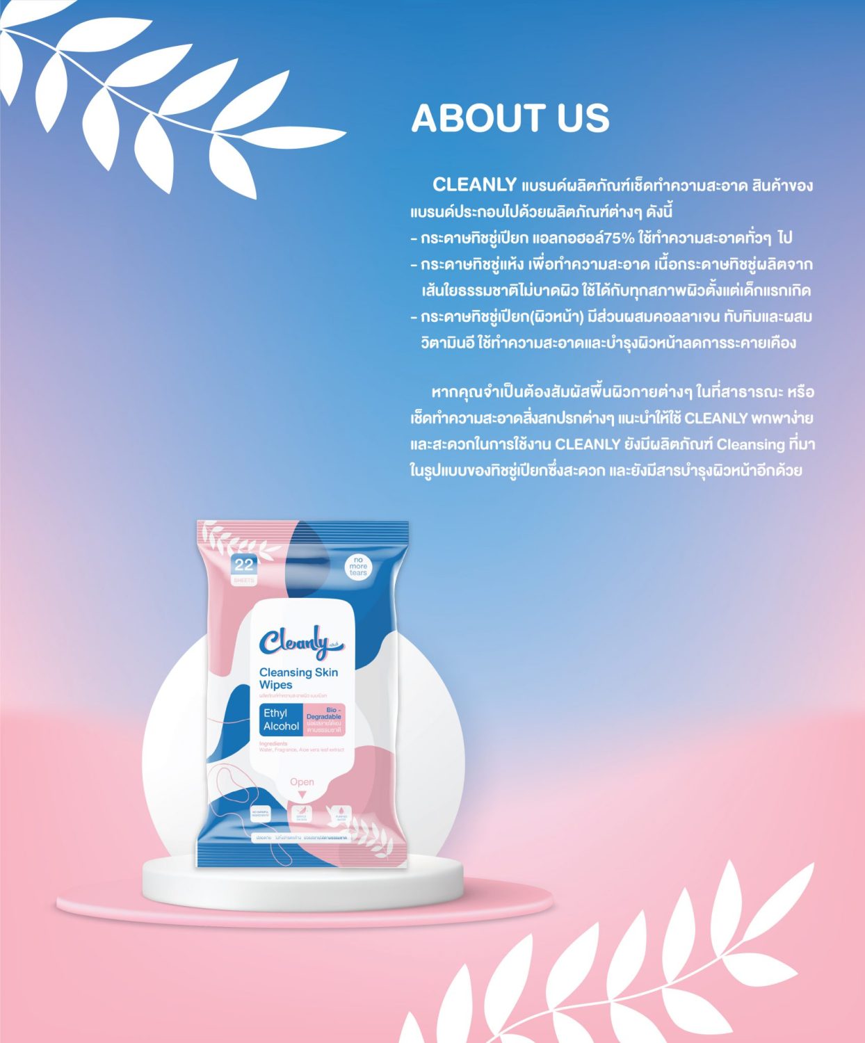 ตัวอย่าง ออกแบบแบรนด์แบบมีกลยุทธ์ CORPORATE IDENTITY & BRANDING CONCEPT DESIGN CLEANLY — ภาพผลงาน 3