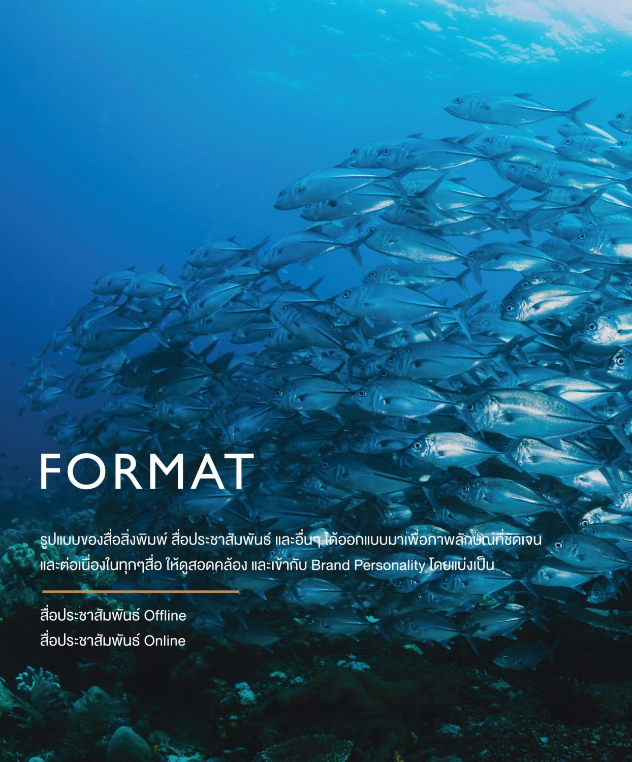 ตัวอย่าง ออกแบบแบรนด์แบบมีกลยุทธ์ CORPORATE IDENTITY & BRANDING CONCEPT DESIGN FROM SEA TO TABLE — project image 12
