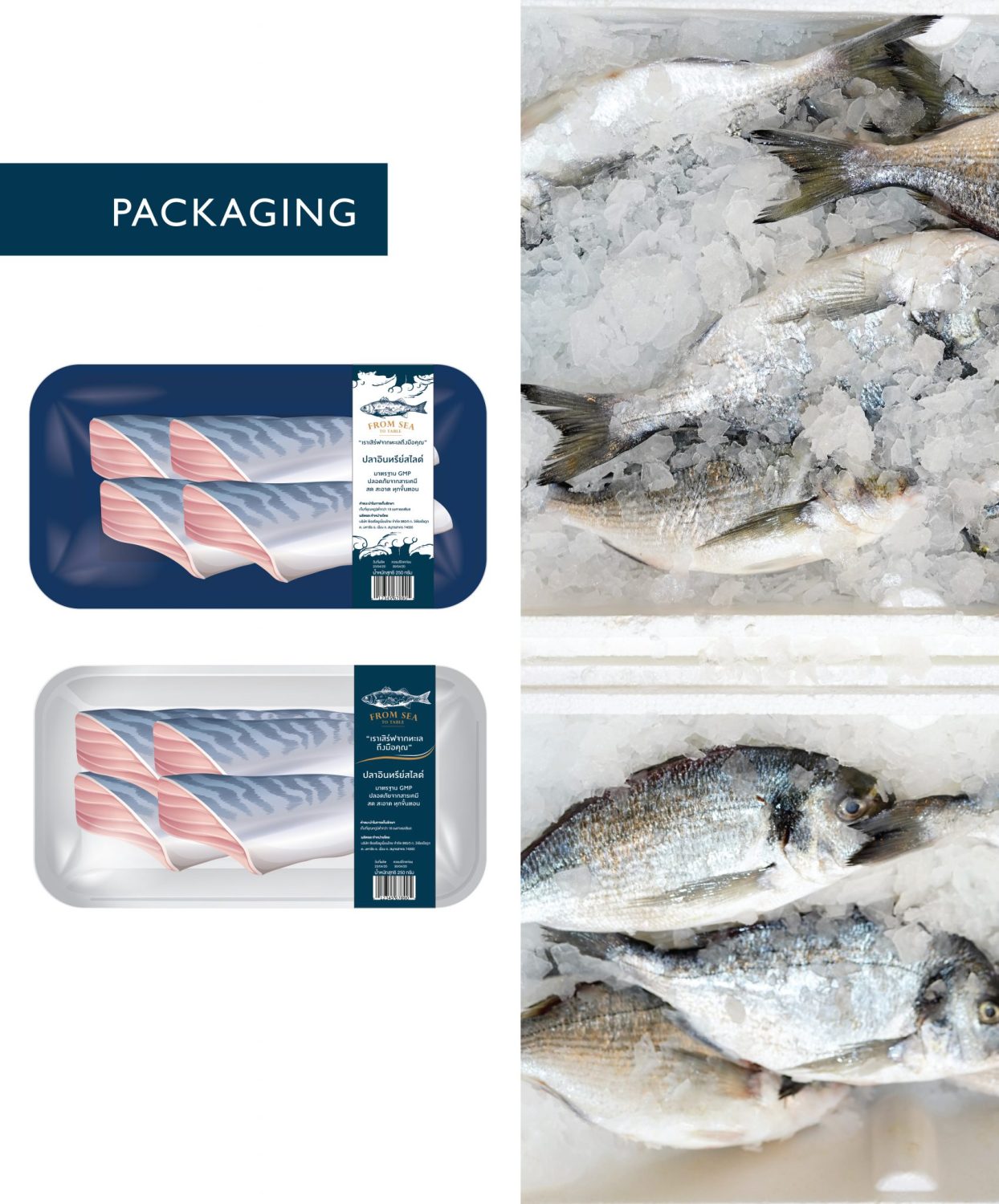 ตัวอย่าง ออกแบบแบรนด์แบบมีกลยุทธ์ CORPORATE IDENTITY & BRANDING CONCEPT DESIGN FROM SEA TO TABLE — project image 22