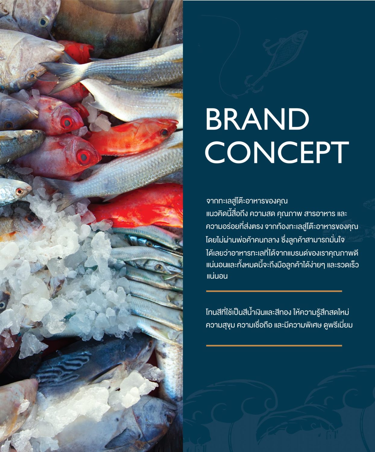 ตัวอย่าง ออกแบบแบรนด์แบบมีกลยุทธ์ CORPORATE IDENTITY & BRANDING CONCEPT DESIGN FROM SEA TO TABLE — project image 5