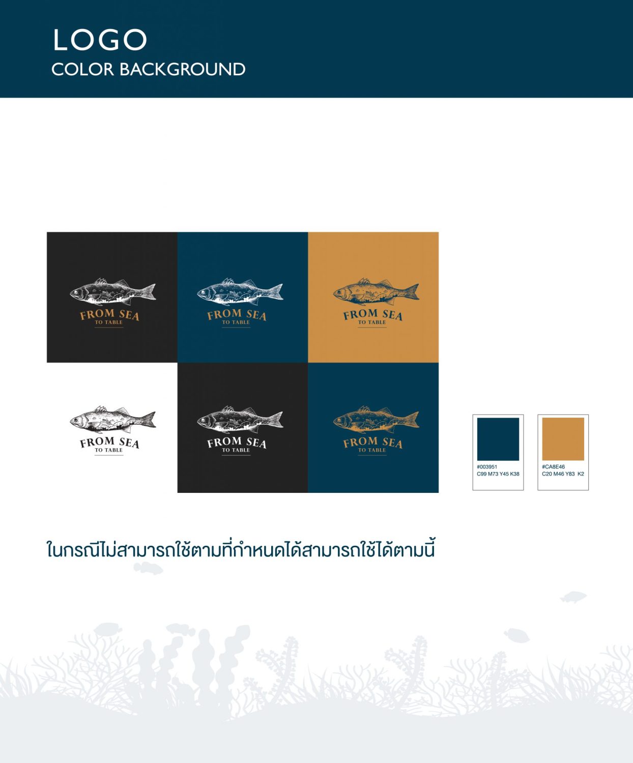 ตัวอย่าง ออกแบบแบรนด์แบบมีกลยุทธ์ CORPORATE IDENTITY & BRANDING CONCEPT DESIGN FROM SEA TO TABLE — project image 7