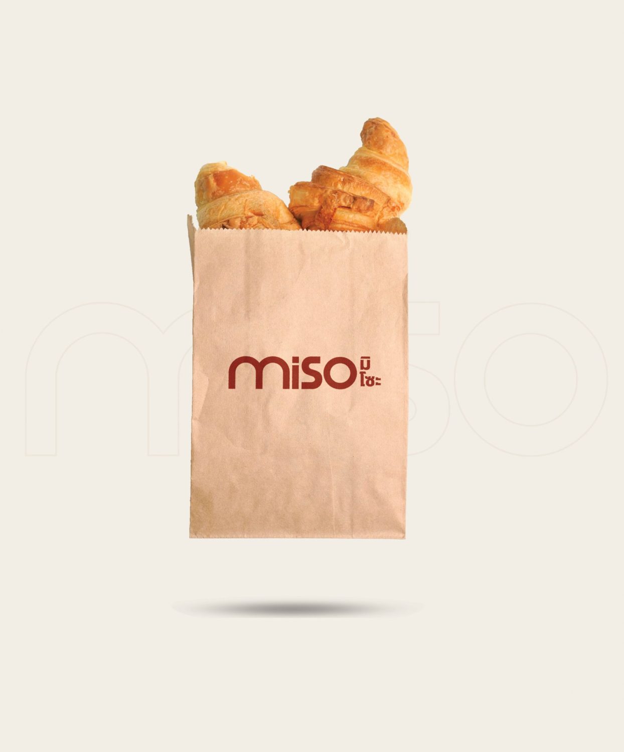 CONCEPT DESIGN MISO — ภาพผลงาน 17