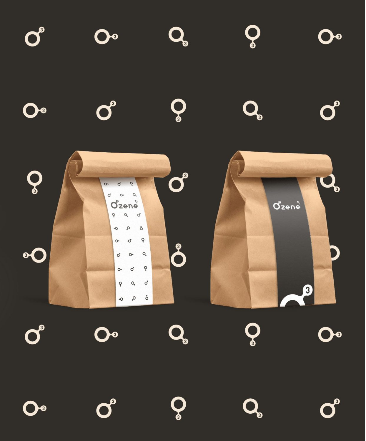 ตัวอย่าง ออกแบบแบรนด์แบบมีกลยุทธ์ CORPORATE IDENTITY & BRANDING CONCEPT DESIGN OZENE — ภาพผลงาน 38