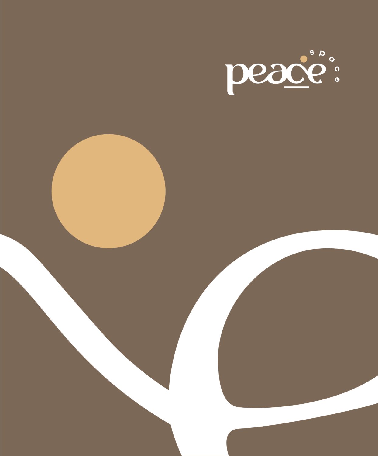 ตัวอย่าง ออกแบบแบรนด์แบบมีกลยุทธ์ CORPORATE IDENTITY & BRANDING CONCEPT DESIGN PEACE SPACE