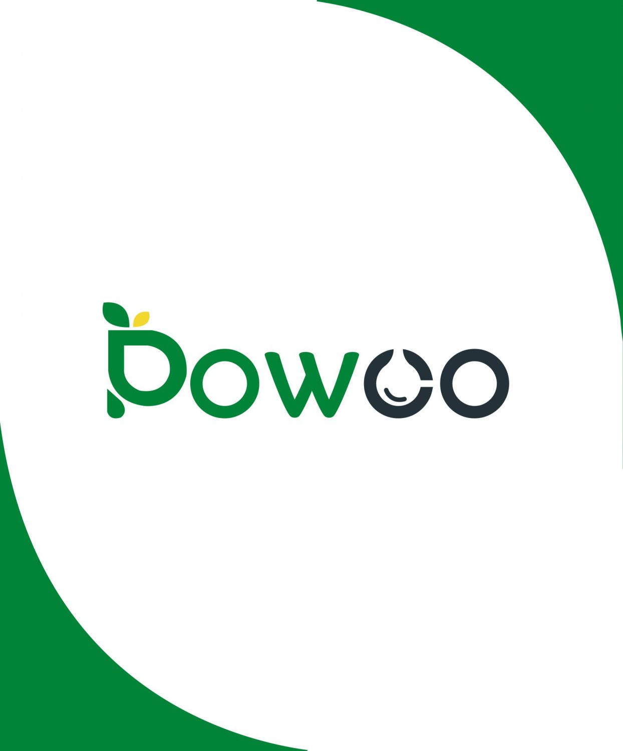 CONCEPT DESIGN POWCO