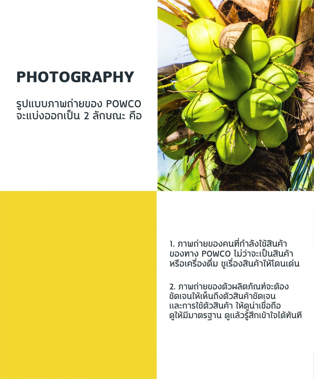 CONCEPT DESIGN POWCO — ภาพผลงาน 14