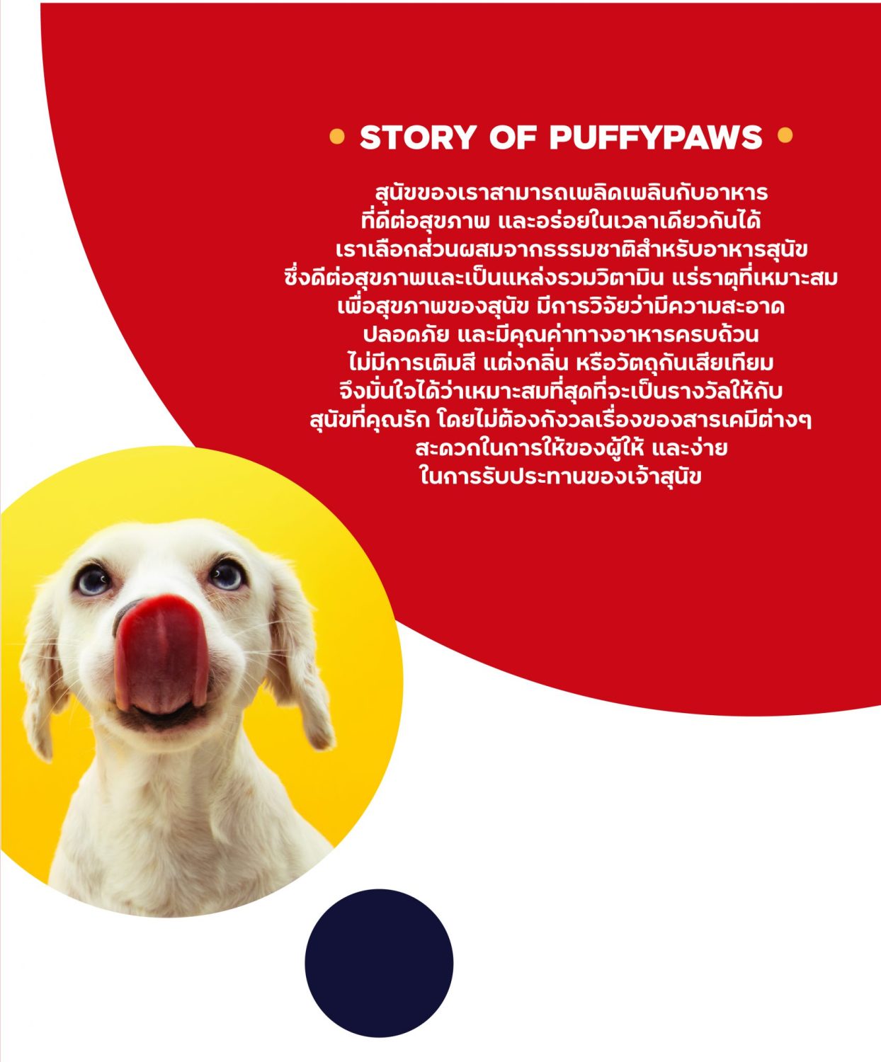CONCEPT DESIGN PUFFY PAW — ภาพผลงาน 3