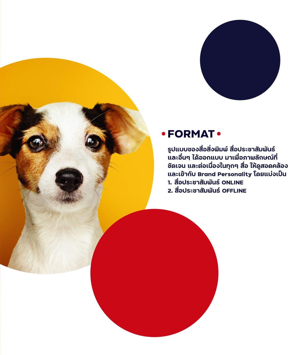 CONCEPT DESIGN PUFFY PAW — ภาพผลงาน 18