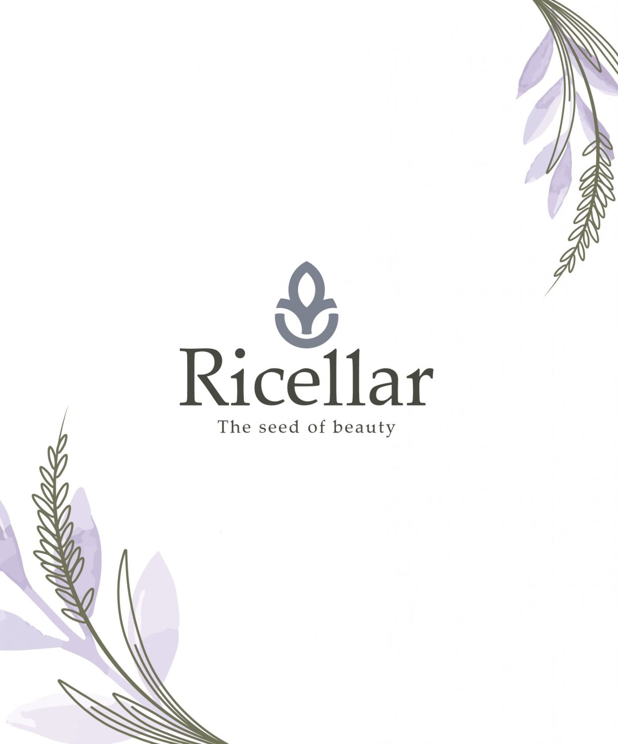 CONCEPT DESIGN RICELLAR