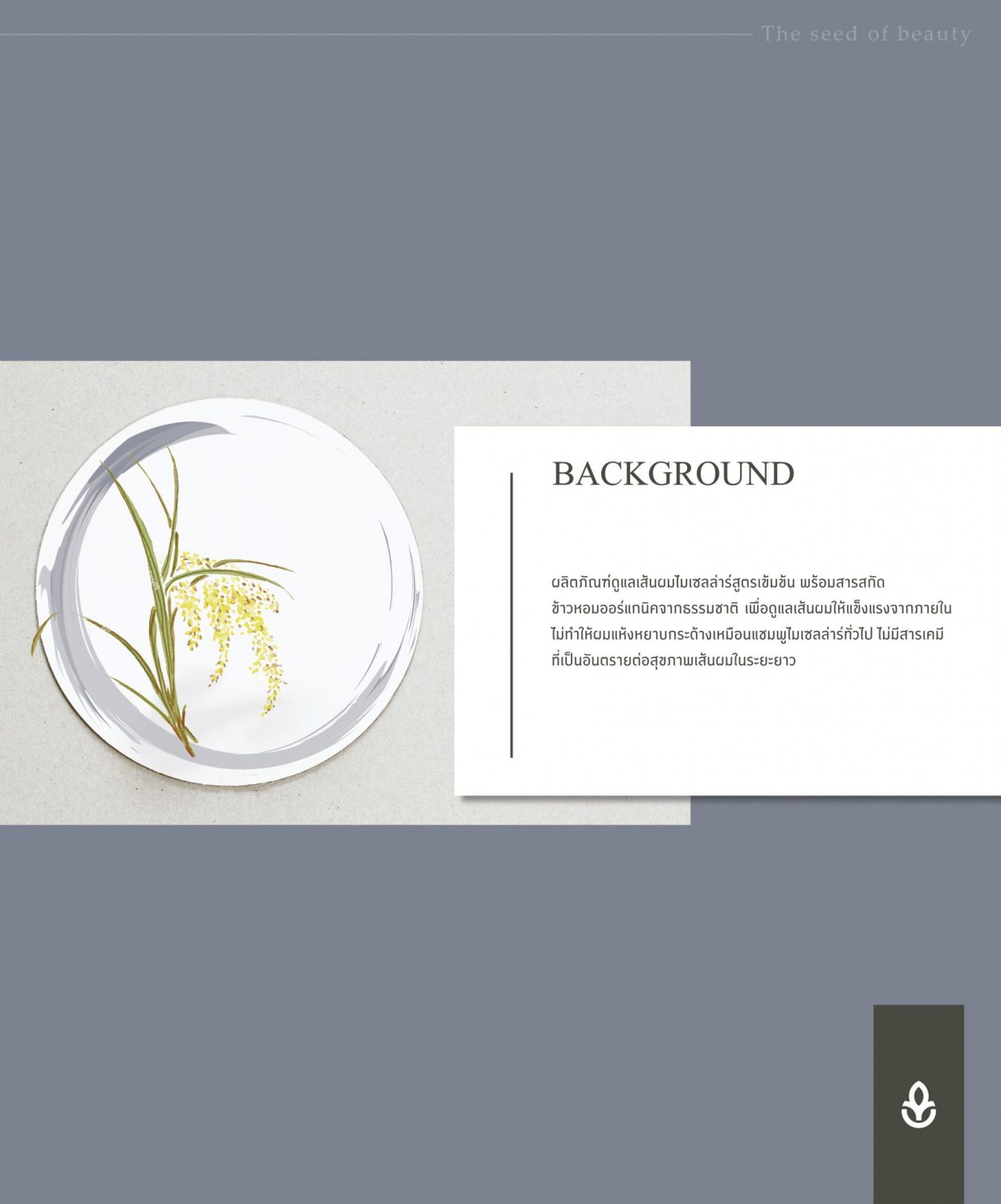 CONCEPT DESIGN RICELLAR — ภาพผลงาน 3