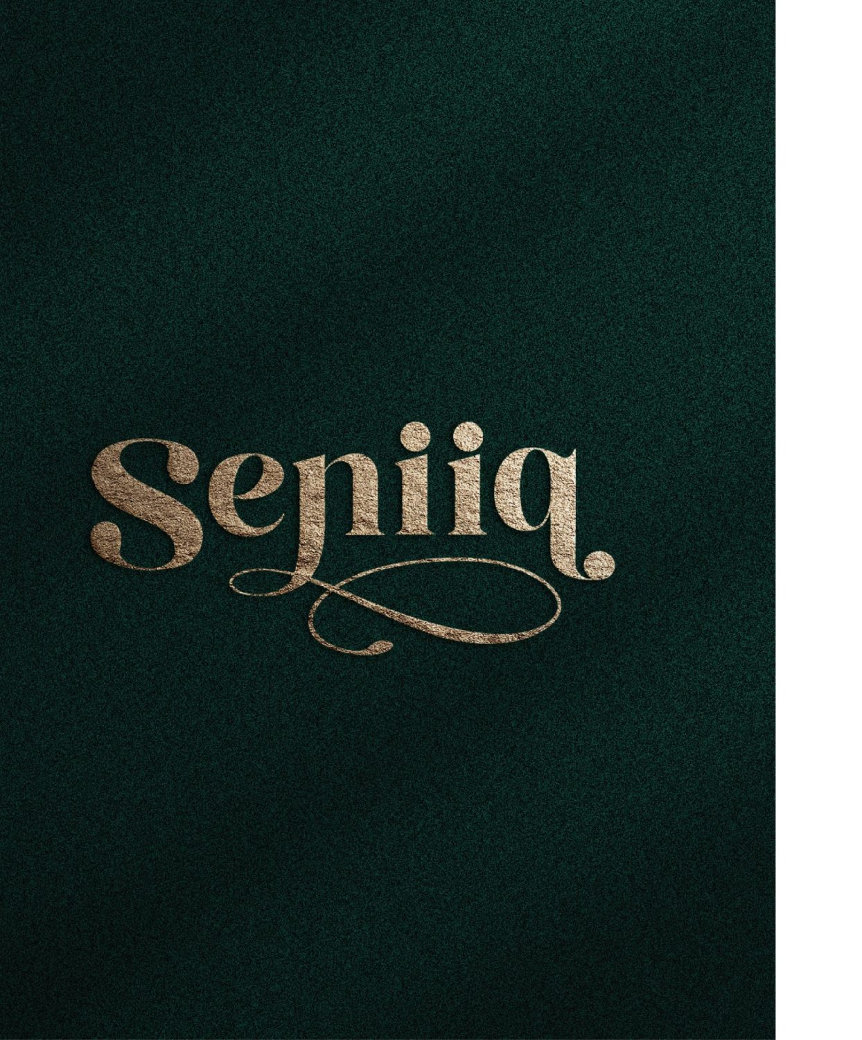 CONCEPT DESIGN SENIQ — ภาพผลงาน 1