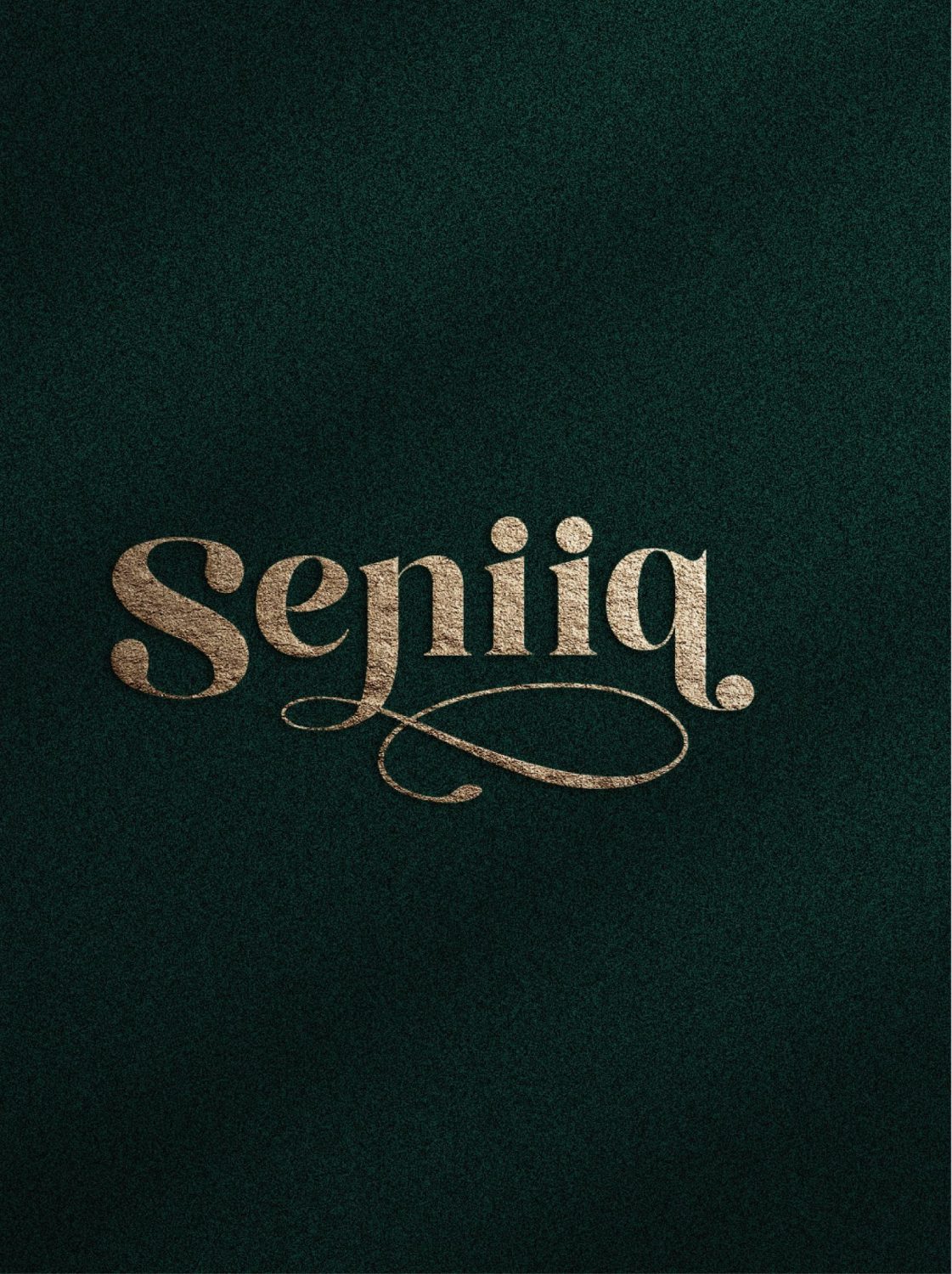 CONCEPT DESIGN SENIQ