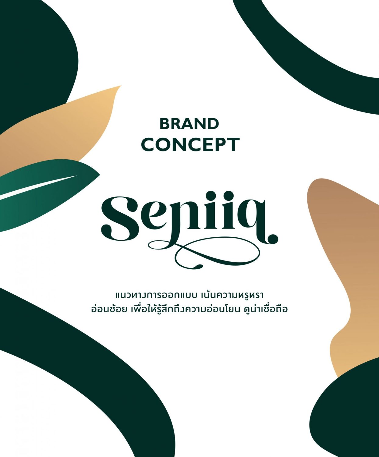 CONCEPT DESIGN SENIQ — ภาพผลงาน 6