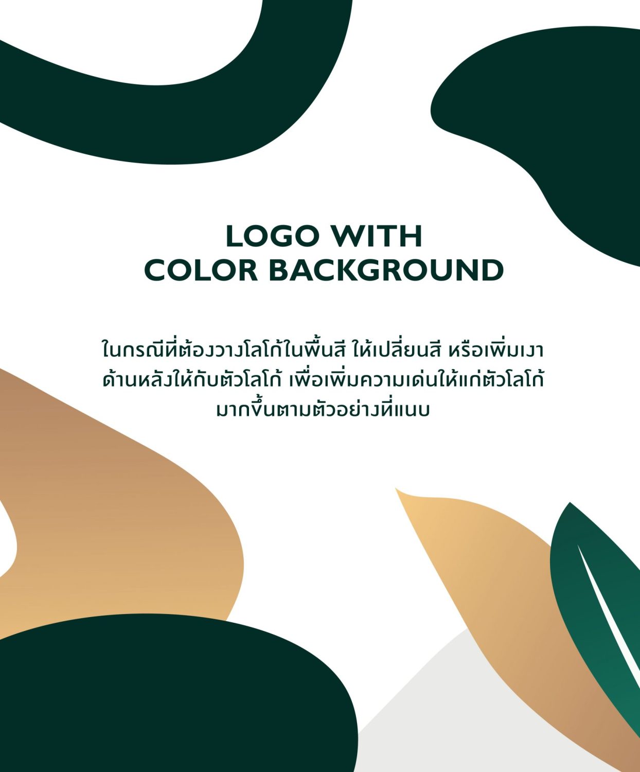 CONCEPT DESIGN SENIQ — ภาพผลงาน 7
