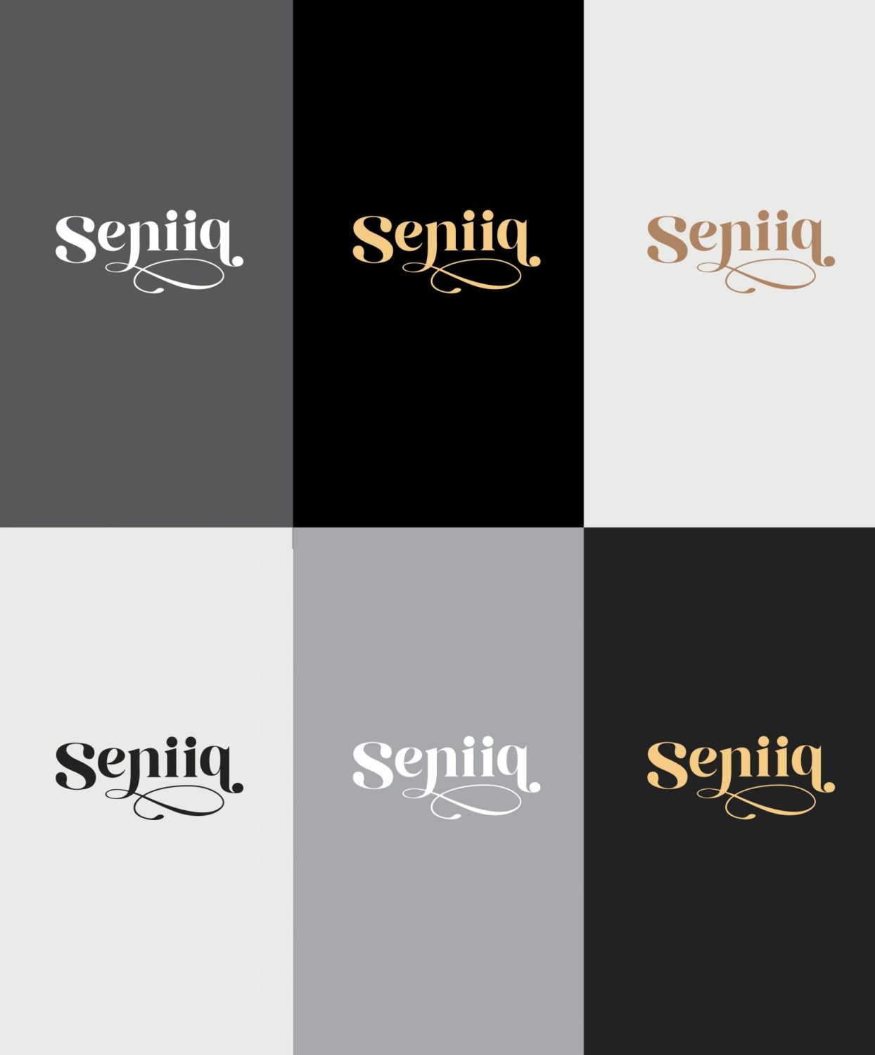 CONCEPT DESIGN SENIQ — ภาพผลงาน 9
