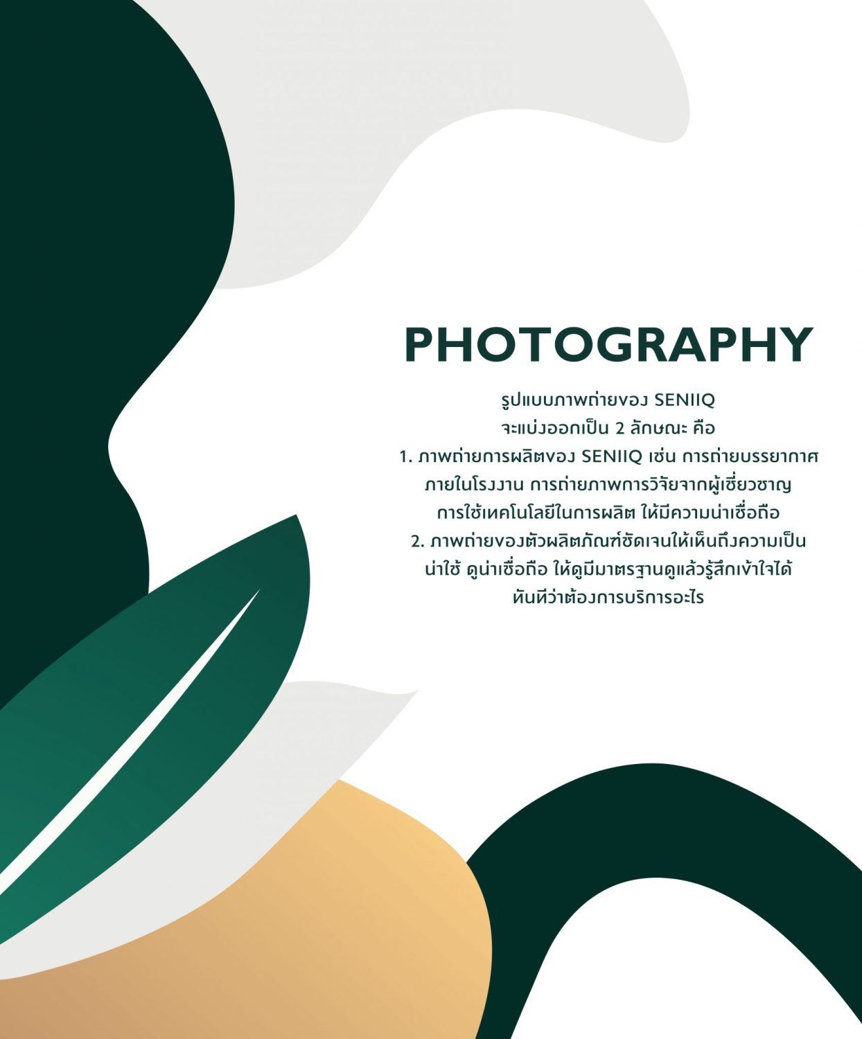 CONCEPT DESIGN SENIQ — ภาพผลงาน 15